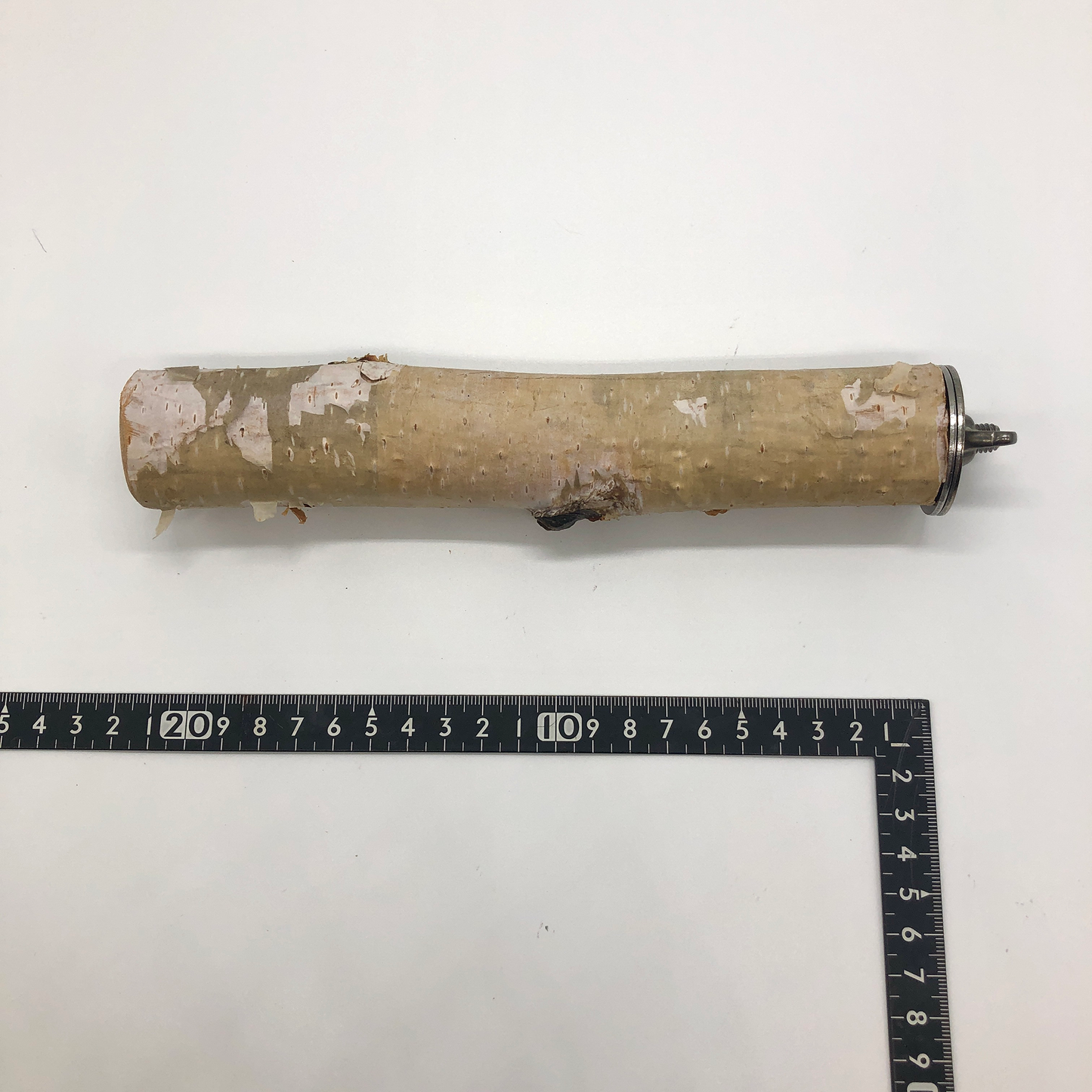 #TML-20 白樺止まり木 MLサイズ 1本 ( 太さ約3~3.9cm 、長さ選択可)