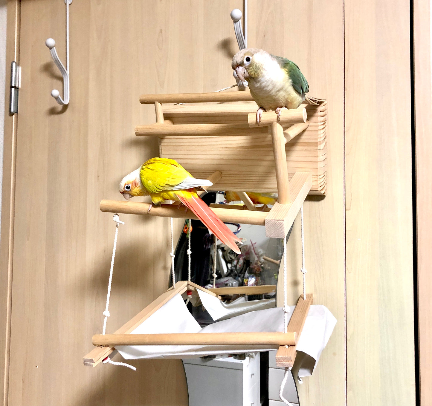 #42BG 机にも壁にも掛ける♪ Table & Wall (バードアスレチック, バードジム)
