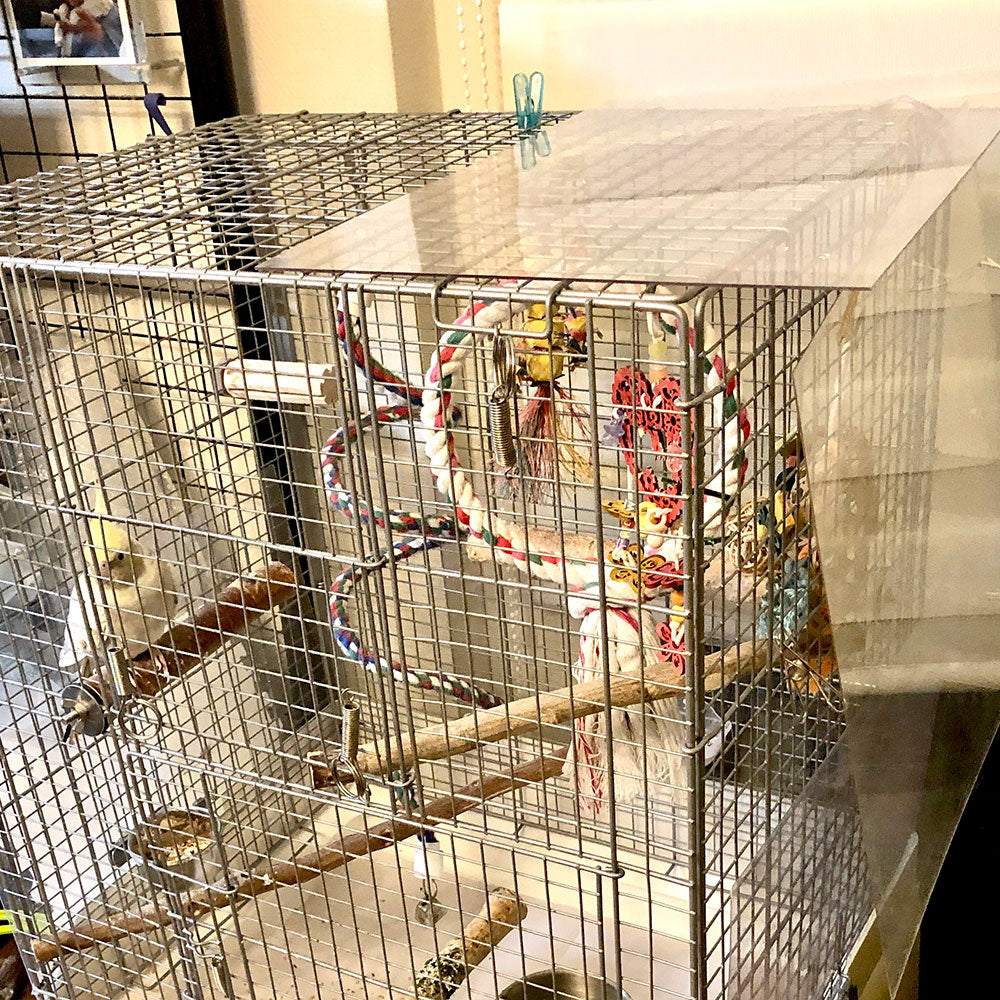 #68SU   L字アクリルパネル ケージの保温・冬場の風除けに (by オカメletter)