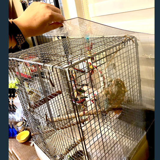 #68SU   L字アクリルパネル ケージの保温・冬場の風除けに (by オカメletter)