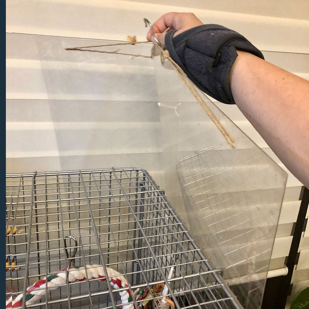 #68SU   L字アクリルパネル ケージの保温・冬場の風除けに (by オカメletter)