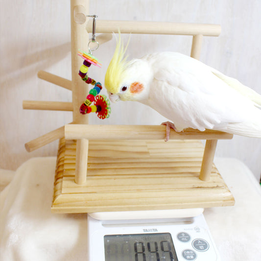 #28BG  体重計にもなる♪ プチバードジム(01s)