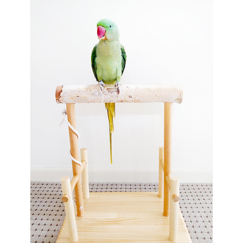 #65bg 【足場あり版】大型インコ用 白樺止まり木スタンド 高さ40cm / 太さ4cm~