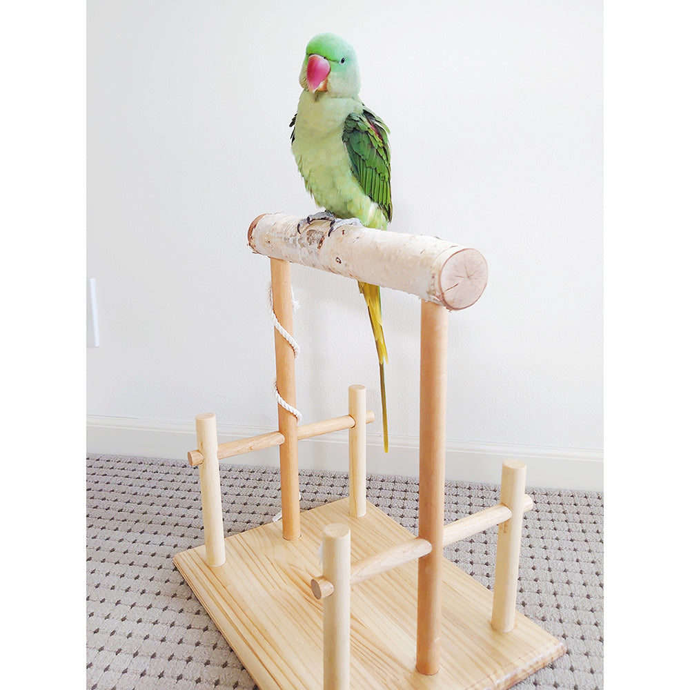 #65bg 【足場あり版】大型インコ用 白樺止まり木スタンド 高さ40cm / 太さ4cm~