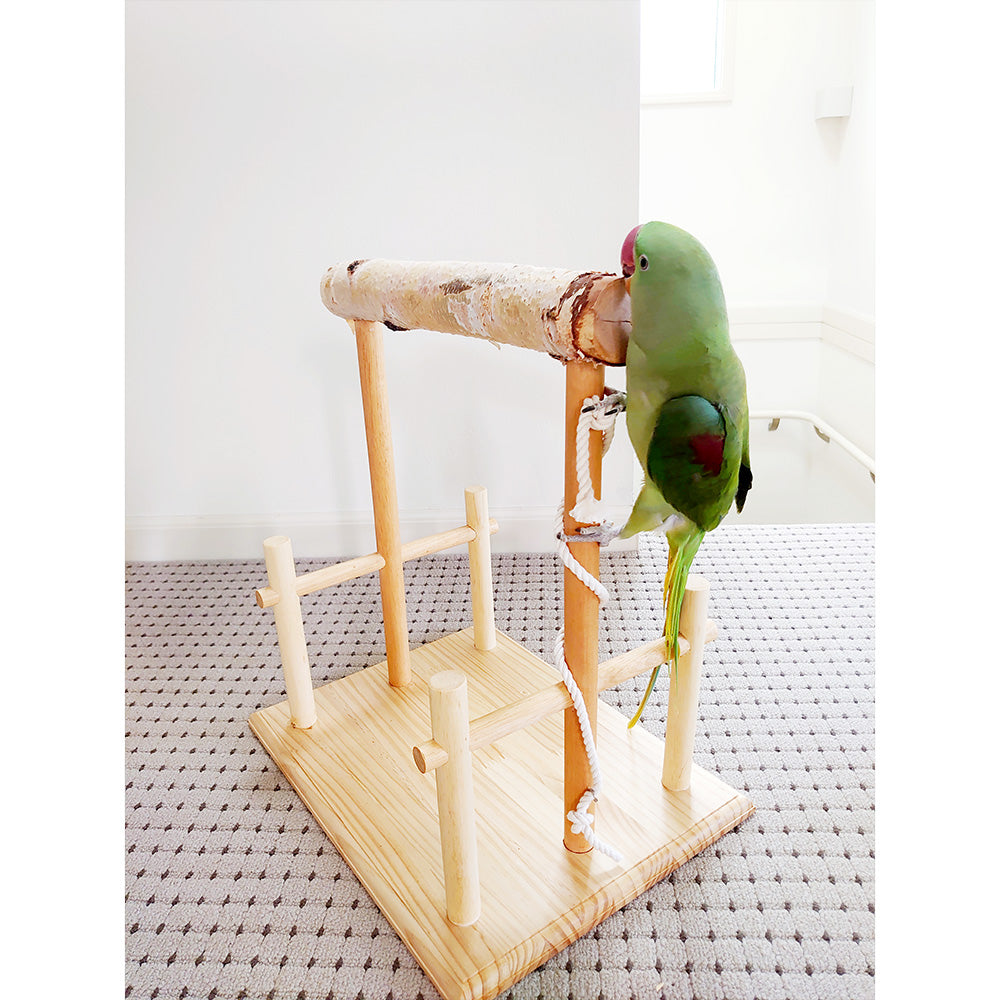 #65bg 【足場あり版】大型インコ用 白樺止まり木スタンド 高さ40cm / 太さ4cm~
