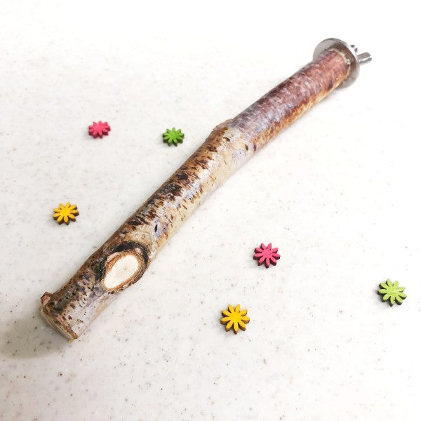 #TS-S01 白樺の止まり木 Sサイズ 1本(全長約16cm / 直径15約cm)