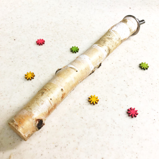 #TS-M01  白樺の止まり木 Sサイズ 1本(長さ約16cm / 直径約20mm〜)