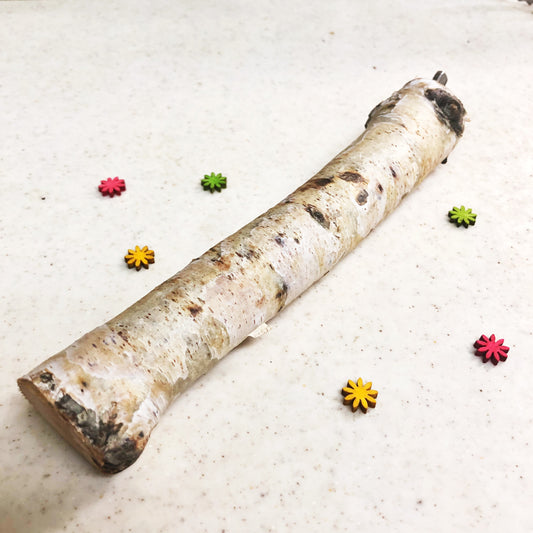 #TS-L01    白樺の止まり木 Mサイズ 1本(長さ16cm/  太さ25mm~)