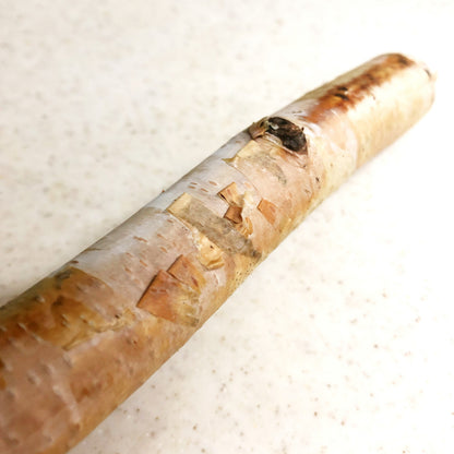 #TS-L01    白樺の止まり木　Mサイズ　1本（長さ16cm/  太さ25mm~）