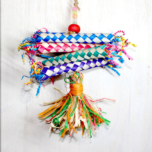 #22M   ポンポンヤシ