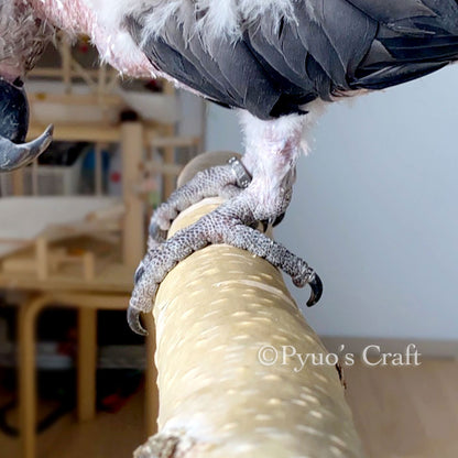 #63BG  大型インコ用　白樺止まり木スタンド (Lサイズ)　　太さ4cm~