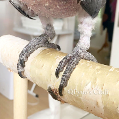 #63BG  大型インコ用　白樺止まり木スタンド (Lサイズ)　　太さ4cm~